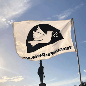 VFP Logo Flag (3 x 5 feet)
